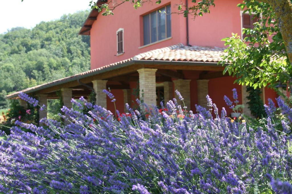 Villa Agriturismo La Rosa Tea Urbania Exterior foto
