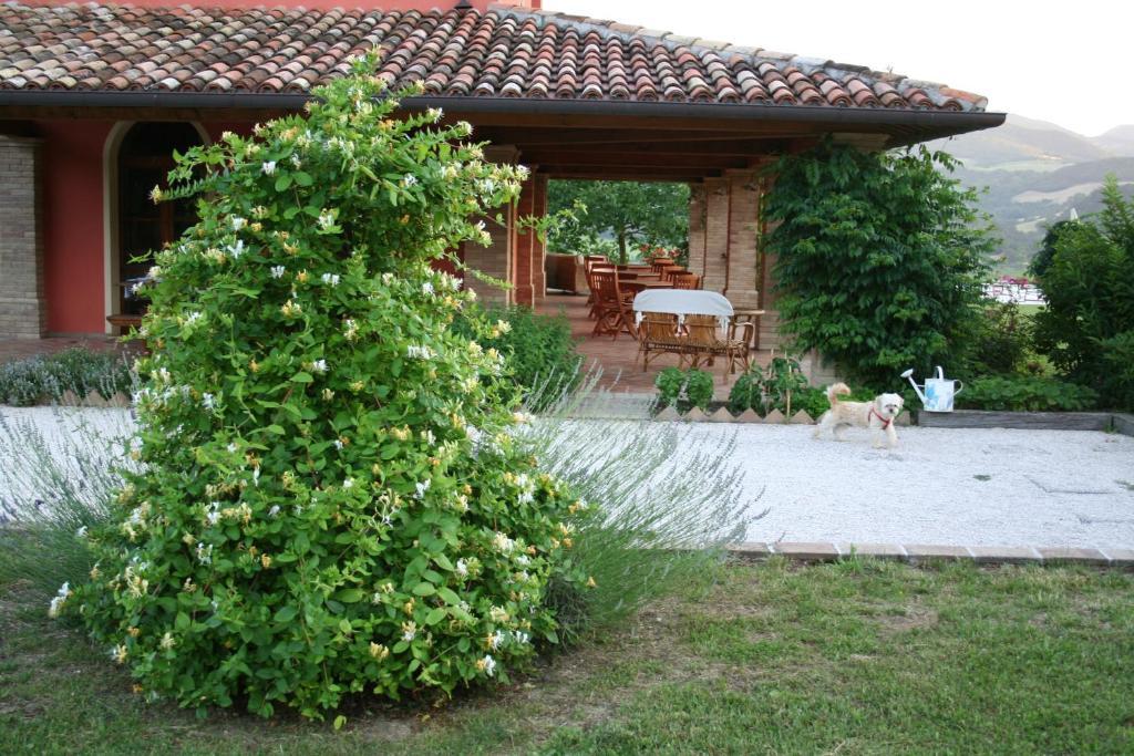 Villa Agriturismo La Rosa Tea Urbania Exterior foto